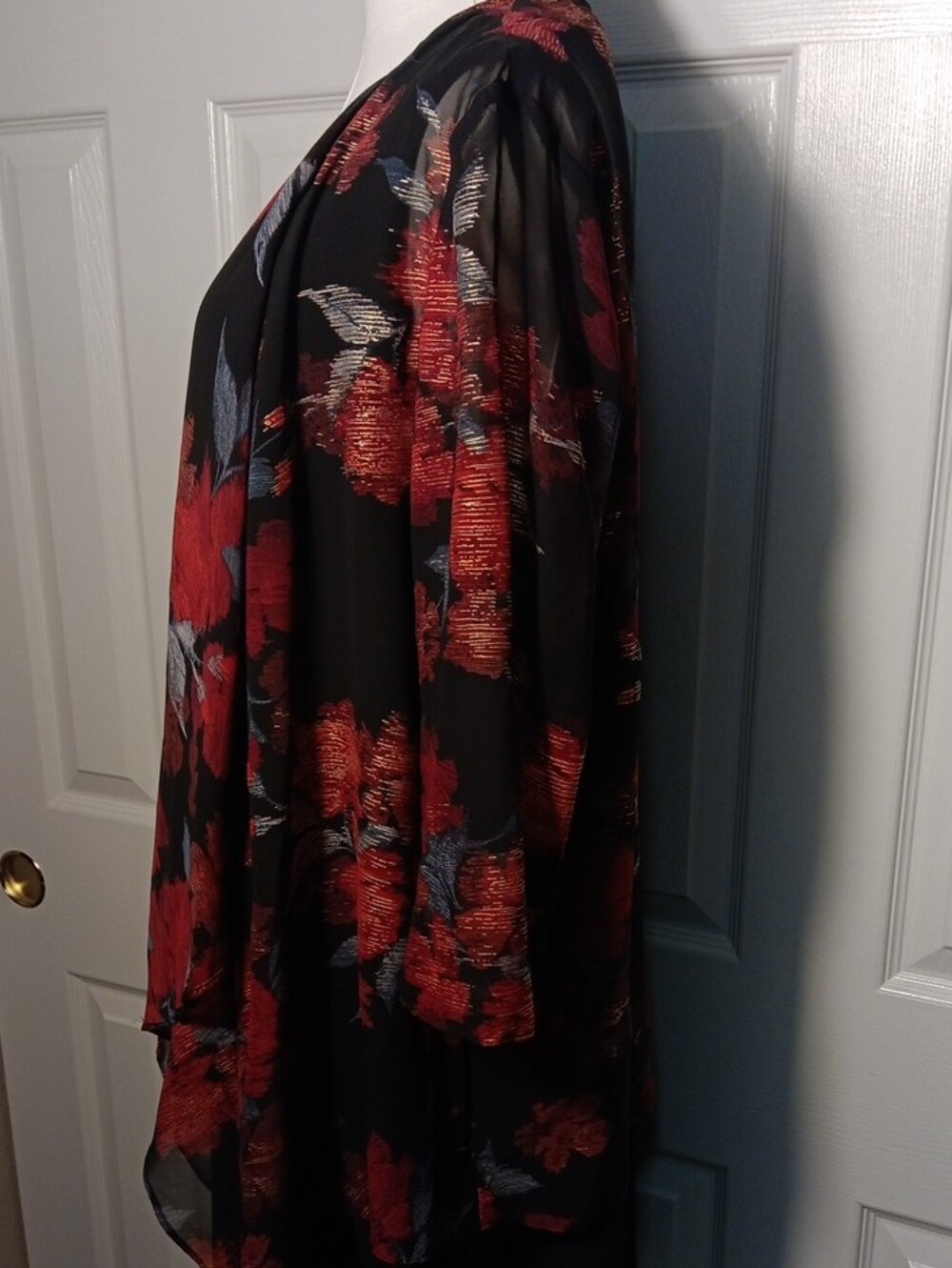R&K Black Shift Dress with Red Floral Sheer Overlay and Blue Accents - Picture 4 of 12